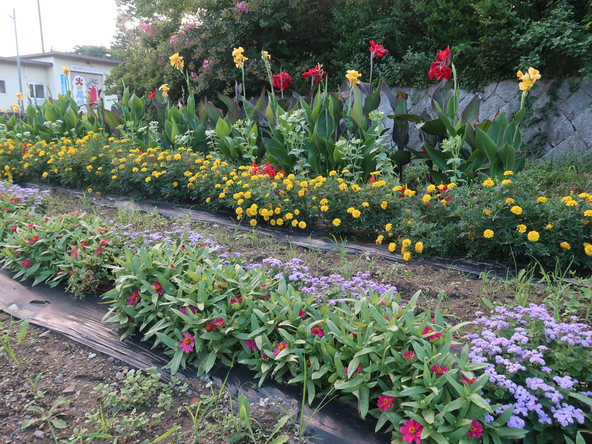真滝三区の花壇の写真